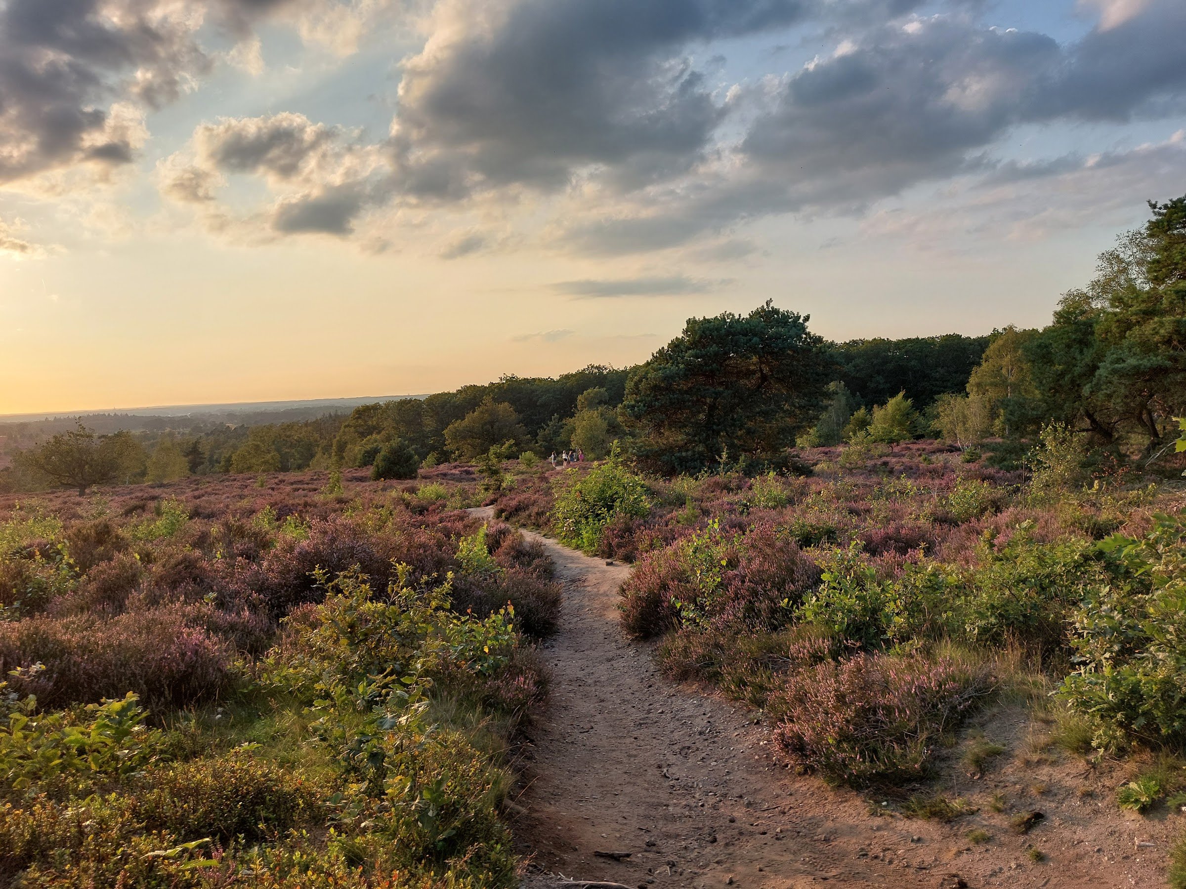 Sallandse Heuvelrug National Park